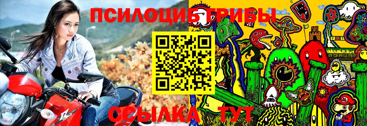 Галлюциногенные грибы Psilocybe  Галлюциногенные грибы ЛСД  Вход с VPN  Рославль 