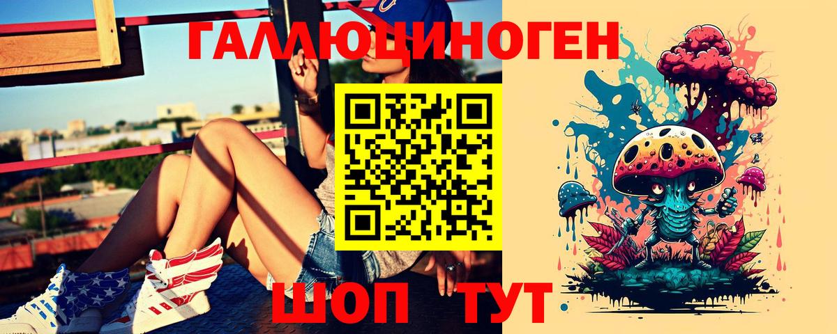 Галлюциногенные грибы Psilocybe Рославль
